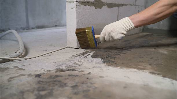 Specialized Foundation Crack Repair services in Maryland, MD